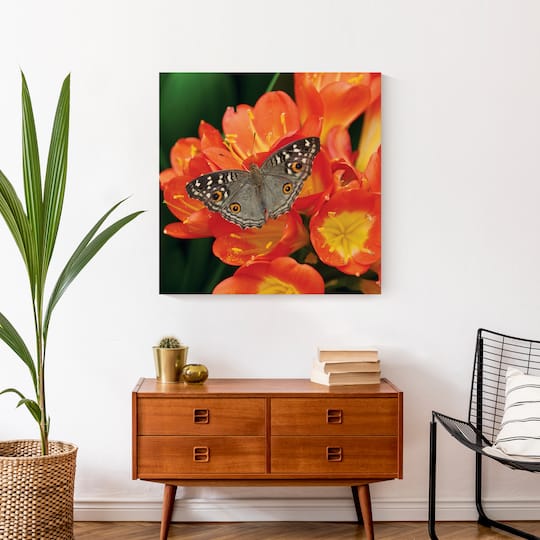 Butterfly On Orange Flower 24" x 24" Canvas Wall Art